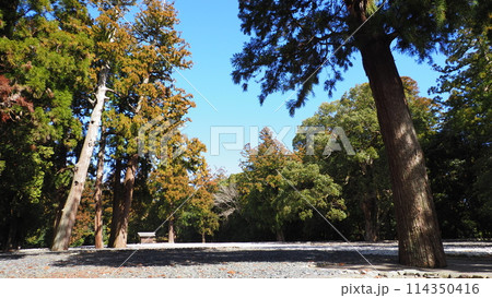 伊勢神宮 内宮 古殿地 114350416