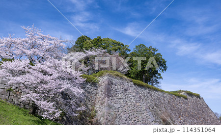 春の篠山城跡 春の篠山城跡 114351064