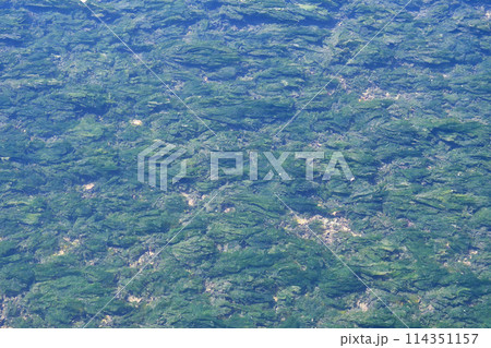 谷津干潟の水面(千葉県習志野市) 谷津干潟の水面(千葉県習志野市) 114351157