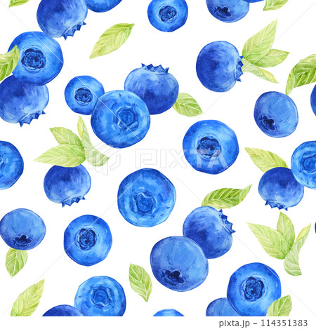 Blueberry watercolor pattern. Seamless pattern of ripe berries on a white background. Botanical hand drawn illustration for fabric, textile, wallpaper, wrapping paper. Blueberry watercolor pattern. Seamless pattern of ripe berries on a white background. Botanical hand drawn illustration for fabric, textile, wallpaper, wrapping paper. 114351383