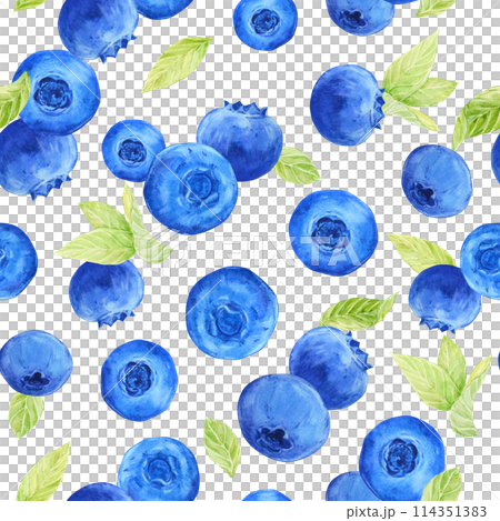 Blueberry watercolor pattern. Seamless pattern of ripe berries on a white background. Botanical hand drawn illustration for fabric, textile, wallpaper, wrapping paper. Blueberry watercolor pattern. Seamless pattern of ripe berries on a white background. Botanical hand drawn illustration for fabric, textile, wallpaper, wrapping paper. 114351383