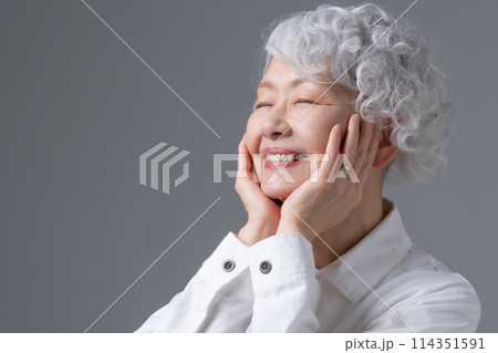 グレーヘアの女性　ポートレート 114351591
