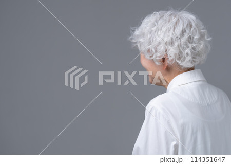 グレーヘアの女性 ポートレート グレーヘアの女性 ポートレート 114351647
