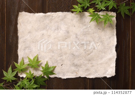 和紙と青紅葉の背景素材 和紙と青紅葉の背景素材 114352877