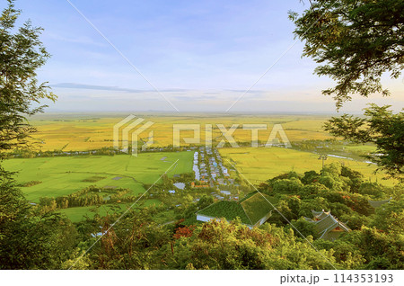 Panorama View Of Rice Field In An Giang Province, Vietnam. Panorama View Of Rice Field In An Giang Province, Vietnam. 114353193