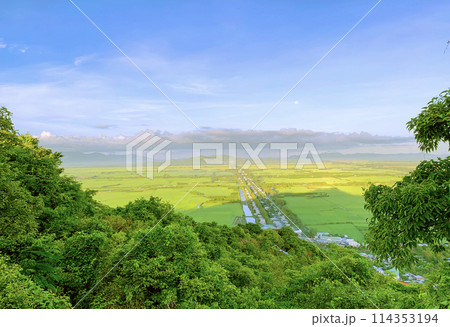 Panorama View Of Rice Field In An Giang Province, Vietnam. Panorama View Of Rice Field In An Giang Province, Vietnam. 114353194