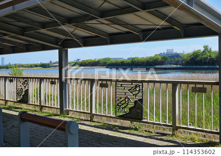 谷津干潟（千葉県習志野市） 114353602