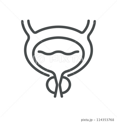 Enlarged Prostate Icon. Line Illustration of a Prostate Gland, Symbolizing Benign Prostatic Hyperplasia (BPH) and Men's Health Issues. For Medical Education and Healthcare. Isolated Vector Sign. Enlarged Prostate Icon. Line Illustration of a Prostate Gland, Symbolizing Benign Prostatic Hyperplasia (BPH) and Men's Health Issues. For Medical Education and Healthcare. Isolated Vector Sign. 114353768