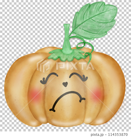 Vegetable characters  cartoon   with eyes. Cute funny characters. Cartoon style. Hand drawn colored  illustration. All elements are isolated. 114353870