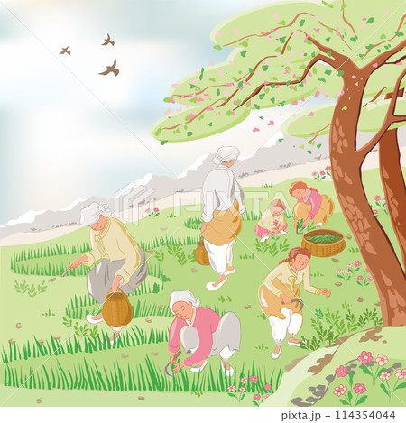 Vector Illustration of Women and Children Harvesting Korean Edible Wild Plants on a Warm Spring Day, Reflecting Korean Sentimentality 114354044
