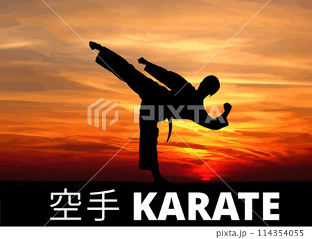 Oriental combat sports. Karate. Colored 3d vector illustration. Translation - karate Oriental combat sports. Karate. Colored 3d vector illustration. Translation - karate 114354055