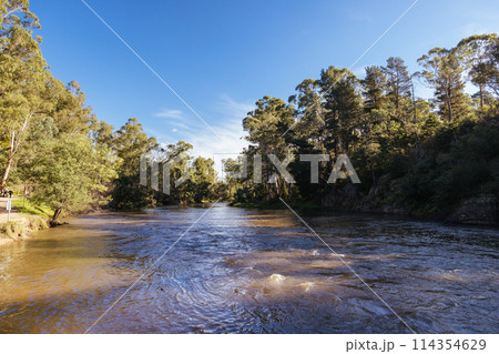 Warrandyte River Reserve in Melbourne Australia 114354629