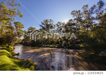 Warrandyte River Reserve in Melbourne Australia 114354635