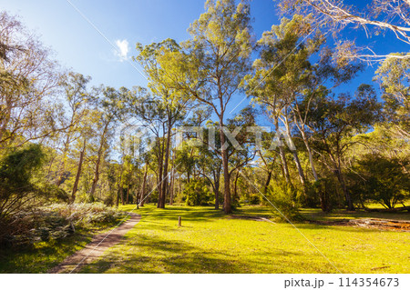 Pound Bend Reserve in Melbourne Australia Pound Bend Reserve in Melbourne Australia 114354673