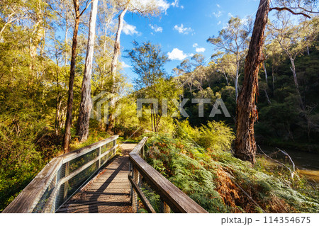 Pound Bend Reserve in Melbourne Australia 114354675