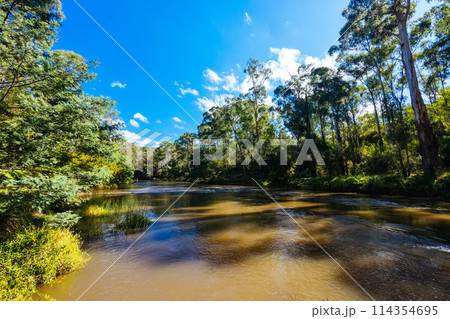 Warrandyte River Reserve in Melbourne Australia Warrandyte River Reserve in Melbourne Australia 114354695