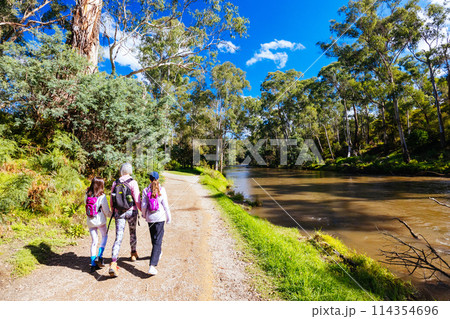 Warrandyte River Reserve in Melbourne Australia 114354696