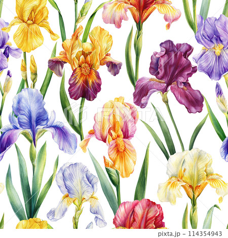 Irises Watercolor flowers. Seamless pattern of flora with leaf background template. Modern seamless pattern. Iris flower 114354943