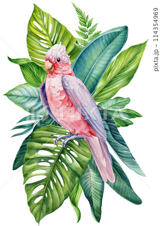 Cockatoo with palm leaves on isolated background, watercolor illustration, Hand drawn realistic bird pink parrot, plant 114354969