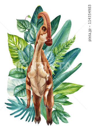 Dinosaur watercolor painting illustration. Jungle, palm leaves elements. Realistic dinosaur isolated white background 114354983