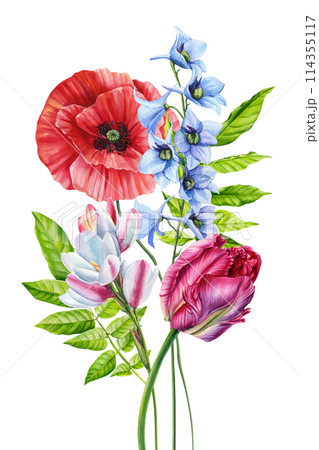 Wildflowers watercolor bouquet. Garden flowers, leaves. Floral pastel hand drawn isolated on white background, clipart 114355117