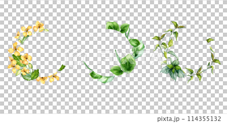 Set of wreaths with herb plants in watercolor isolated. Sage, celandine medicinal flowers in circle frame. Nettle wild herb frame hand drawn. Floral meadow frame. Design for label, package, postcard 114355132