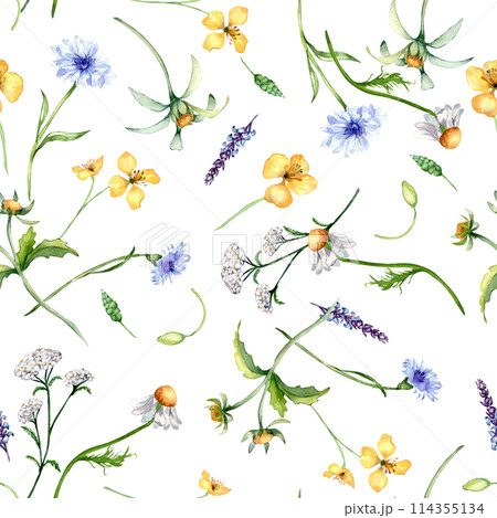 Floral seamless pattern with medicinal plants in watercolor isolated on white background. Yarrow. celandine botanical print in sketch. Bur marigold, cornflower hand drawn. Design for textile, package 114355134