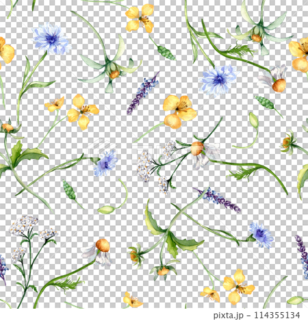 Floral seamless pattern with medicinal plants in watercolor isolated on white background. Yarrow. celandine botanical print in sketch. Bur marigold, cornflower hand drawn. Design for textile, package 114355134