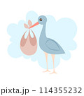 Stork brought a newborn baby. Vector illustration on white background for design of cards, posters, stickers, stickers. 114355232
