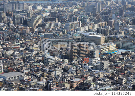 Nov 30 2023 Tokyo Skyline with Tokyo Sky Tree at day time, Oshiage area, Nov 30 2023 Tokyo Skyline with Tokyo Sky Tree at day time, Oshiage area, 114355245