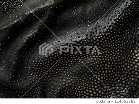 Stingray leather texture background. Stingray skin in black color, macro shot, top view Stingray leather texture background. Stingray skin in black color, macro shot, top view 114355365