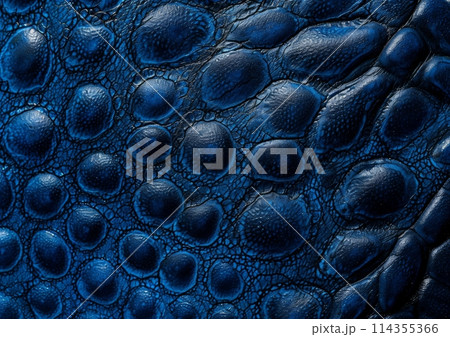 Stingray blue leather texture background, macro stingray skin texture background, top view photography 114355366