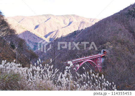埼玉県秩父　豆焼橋と紅葉の雁坂峠 114355453
