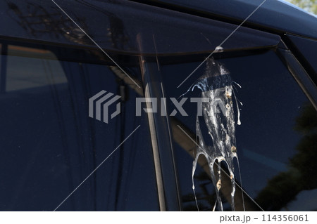 車に付着した鳥の糞 114356061