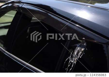 車に付着した鳥の糞 114356063