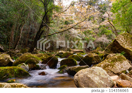 豪渓の風景 114356065