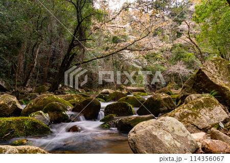 豪渓の風景 豪渓の風景 114356067