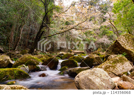 豪渓の風景 豪渓の風景 114356068