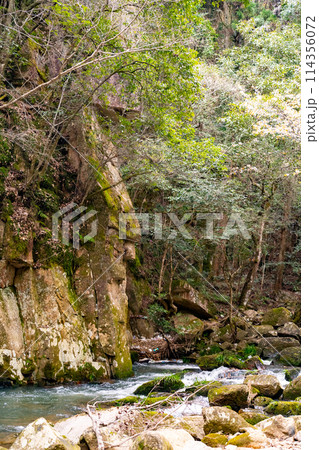 豪渓の風景 114356072