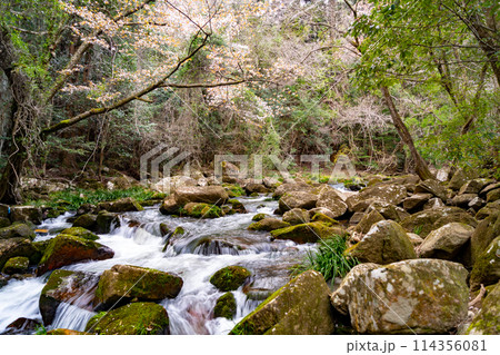 豪渓の風景 豪渓の風景 114356081