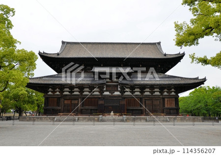 東寺 金堂 114356207