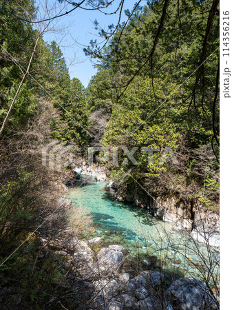 阿寺渓谷 阿寺渓谷 114356216