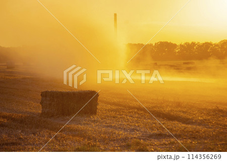 Combine harvester pressing straw from field into bales driving field on sunny summer evening. Field with bales of pressed wheat. Lots of dust on field. Agricultural agro industrial harvesting works 114356269