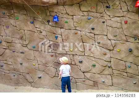 The boy is engaged in rock climbing. Climbing harness safety sports equipment. Rope amusement city park, obstacle course. Kids children's attraction center. High quality photo 114356283