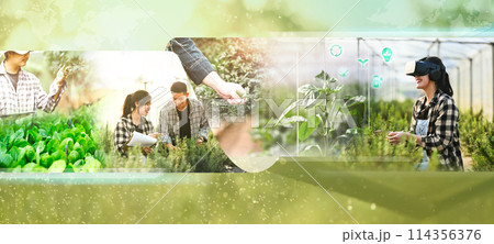 The concept of modern agricultural technology, smart farming, innovation and sustainable concept 114356376