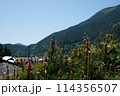 山並み 114356507
