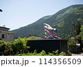 田舎の鯉 114356509