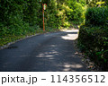 田舎道 114356512