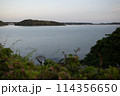 浜名湖 114356650
