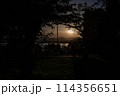 シルエット 114356651